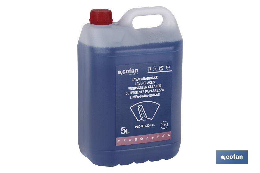 LAVAPARABRISAS ANTICONGELANTE -10º 5 L (PACK: 1 UDS) LAVAPARABRISAS ANTICONGELANTE -10º 5 L (PACK: 1 UDS)
