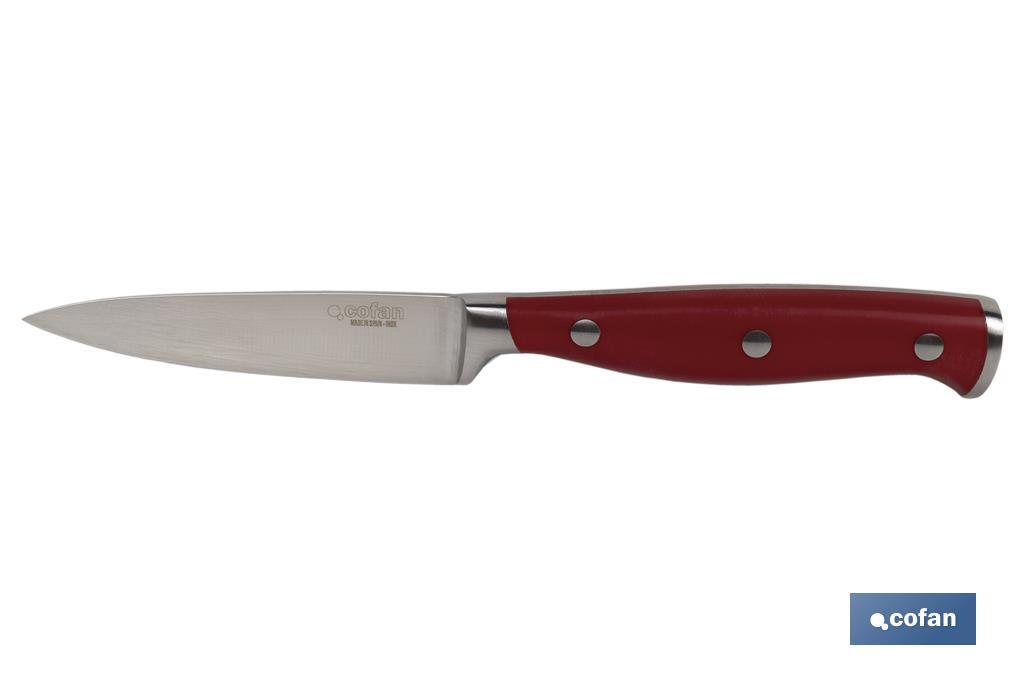CUCHILLO PUNTILLA COCINERO HOJA 9cm MODELO AGUACEJO ROJO (PACK: 1 UDS) CUCHILLO PUNTILLA COCINERO HOJA 9cm MODELO AGUACEJO ROJO (PACK: 1 UDS)