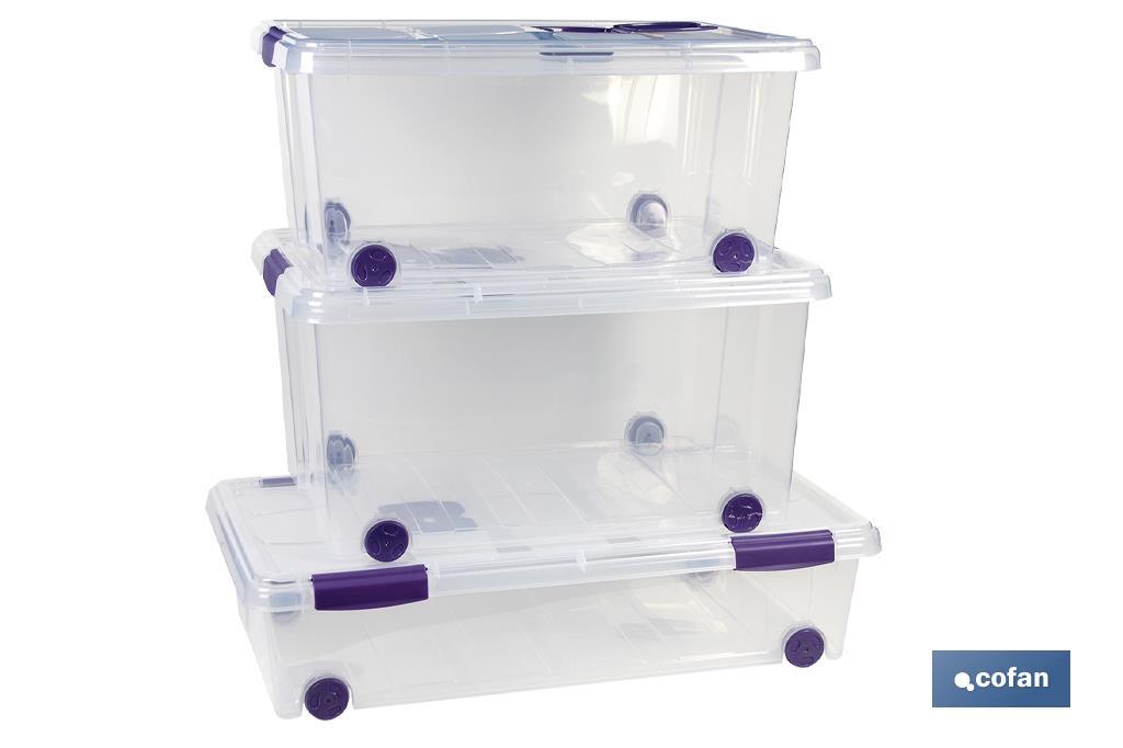 CAJA ORDENACION CON RUEDAS 57L MODELO RICORDI 62X45X32cm (PACK: 1 UDS)