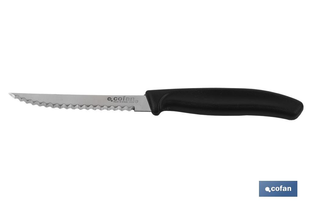 Pack 6 unidades de cuchillos microdentados | Hoja de 10,5 cm | Resistencia y durabilidad